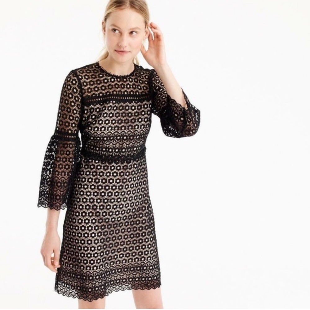 J Crew- Lace Daisy Flutter Sleeve Dress Size 14